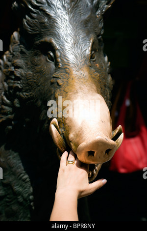 Italie Toscane Florence fontaine de bronze appelée Il Porcellino dans Nuovo Mercato ou également sur le marché de la paille d'être touché à la main de femme Banque D'Images