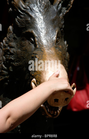 Italie Toscane Florence fontaine de bronze appelée Il Porcellino dans Nuovo Mercato ou également sur le marché de la paille d'être touché à la main de femme Banque D'Images