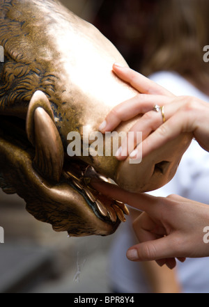 Italie Toscane Florence fontaine de bronze appelée Il Porcellino dans Nuovo Mercato ou également sur le marché de la paille d'être touché à la main de femme Banque D'Images