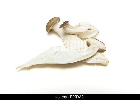 Brown entières et tranchées champignons shimeji Buna (hêtre) isolé sur blanc. Banque D'Images