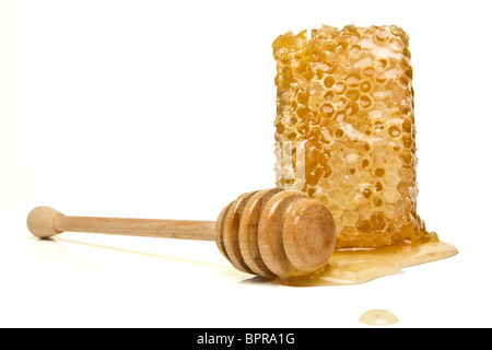 Nid d'naturelle de perspective faible isolé sur blanc. Banque D'Images