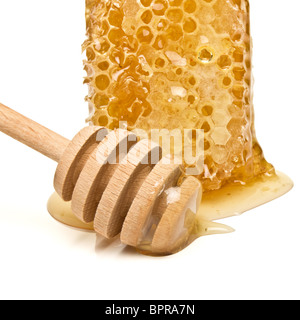 Nid d'naturelle de perspective faible isolé sur blanc. Banque D'Images