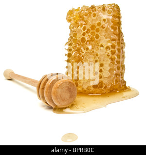 Nid d'naturelle de perspective faible isolé sur blanc. Banque D'Images