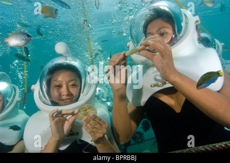 Examinant les touristes, corail champignon Fungia sp., tandis que la marche, la mer, l'île profil Sapi, Sabah, Malaisie Banque D'Images