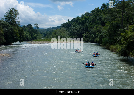 Le Rafting sur la rivière Kuilu, Sabah, Bornéo. Banque D'Images