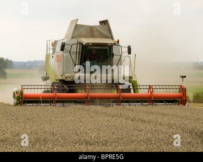 Rendmt Lexion Claas 480 moissonneuse-batteuse, la récolte du blé dans un champ de Norfolk par un beau jour d'août Banque D'Images