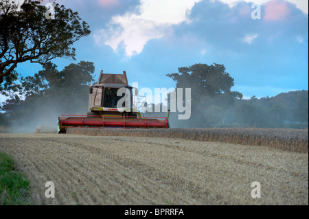 Rendmt Lexion Claas 570 + combiner travaillant dans champ de blé Banque D'Images
