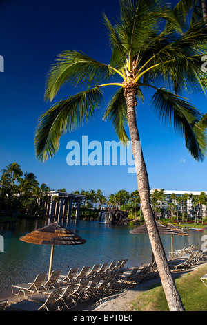 Palmier et de la plage, l'hôtel Hilton Waikoloa Village, la Big Island, Hawaii, United States of America Banque D'Images