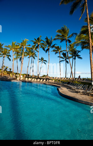 Piscine, l'hôtel Hilton Waikoloa Village, la Big Island, Hawaii, United States of America Banque D'Images