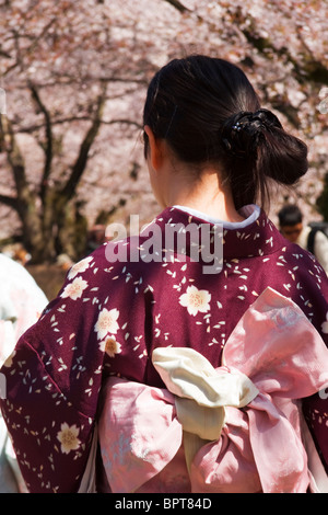 Une Japonaise dans un kimono rose et pourpre pendant Hanami. Le protocole de Kyoto. Le Japon. Banque D'Images