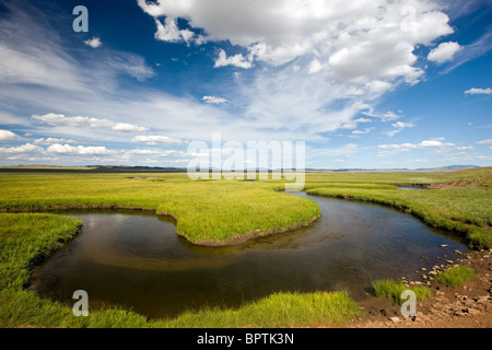 Voir à l'est de la rivière South Platte, comté de Park, Colorado, USA Banque D'Images