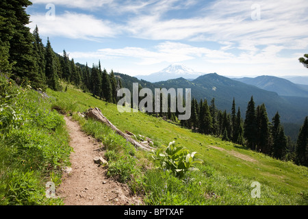 Pacific Crest Trail près de passage Cispus - chèvre Rocks Wilderness, Gifford Pinchot National Forest - Washington. Banque D'Images