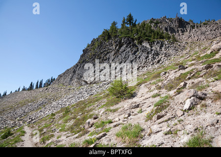 Affleurement de basalte en colonnes le long de la Pacific Crest Trail - Cispus Pass, chèvre sauvage des Rochers Banque D'Images