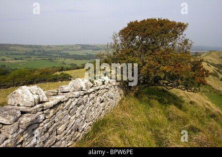 Le tyneham site du patrimoine mondial de jurassique sentiers côtiers dorset england uk go Banque D'Images