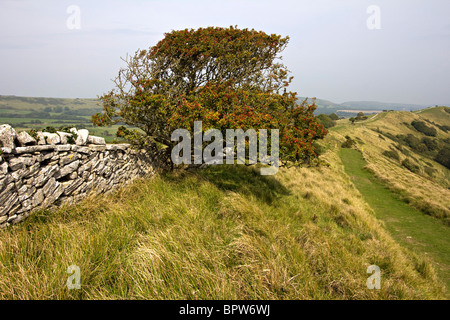 Jurassic world heritage site sentiers côtiers tyneham Cap dorset england uk go Banque D'Images