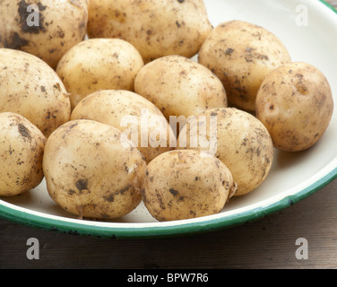 Les nouvelles pommes de terre fraîchement creusée dans un plat en émail Banque D'Images