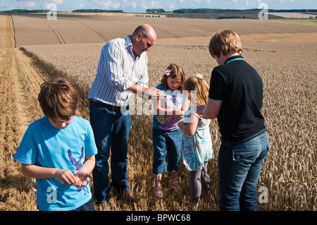L'enseignement aux enfants d'agriculteurs sur le blé, où la farine provient de. Banque D'Images
