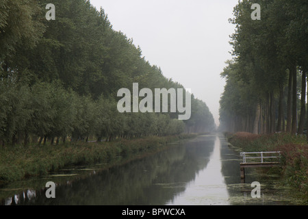 L'arbre bordée Damse Vaart (canal Bruges-Sluis) à Damme en Belgique dans la brume Banque D'Images