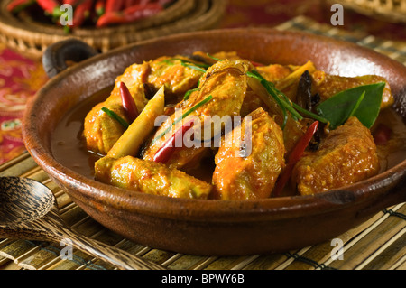 Poulet au curry kapitan Malaisie Singapore Food Banque D'Images