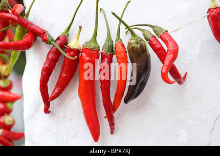 Séchage des piments contre mur blanchi à la chaux, Kas, Turquie Banque D'Images