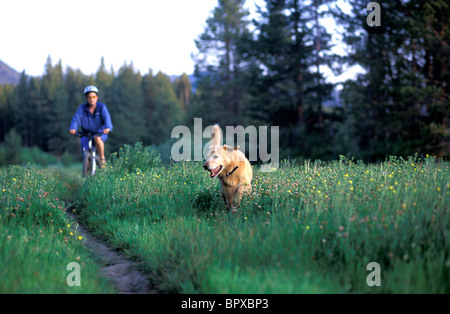 Jeune fille VTT sur sentiers avec chien dans la partie supérieure de la rivière Truckee Meadows à South Lake Tahoe, CA. Banque D'Images