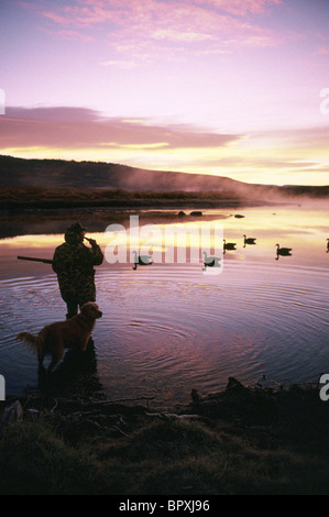 Un chasseur de canard et son chien vérifier leurs leurres au lever du soleil. Banque D'Images