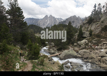 Forêt de haute montagne et Els Encantats pic de montagne pyrénéenne sur la voie traverse le parc national de Sant Maurici Pyrénées Espagne Banque D'Images