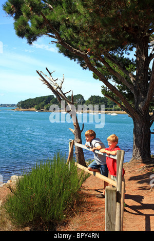 Les garçons à la vue à la mer de de la pointe de Toulindac, Ile aux Moines, Golfe du Morbihan, Bretagne, Bretagne, France Banque D'Images