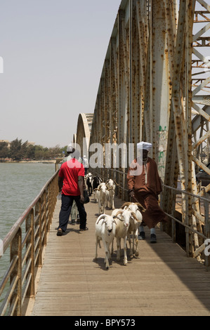 Pont Faidherbe qui relie le continent à l'île Saint-Louis, Saint-Louis, Sénégal Banque D'Images