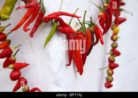 Séchage des piments contre mur blanchi à la chaux, Kas, Turquie Banque D'Images