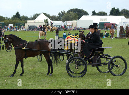 Fiacre poney et pilote . orsett county show Banque D'Images