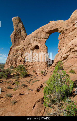 Turrent Arch Arches National Park Moab Utah Banque D'Images