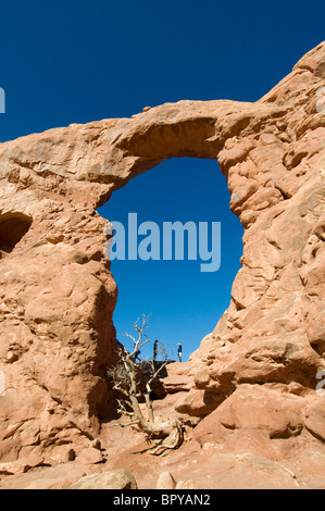 Turrent Arch Arches National Park Moab Utah Banque D'Images