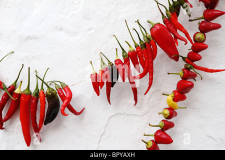 Séchage des piments contre mur blanchi à la chaux, Kas, Turquie Banque D'Images