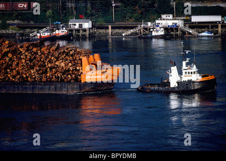 Remorquage d'un Remorqueur Chaland plein de journaux sur la rivière Fraser, Vancouver, BC, British Columbia, Canada Banque D'Images