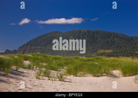 MANZANITA, Oregon, USA - dunes de sable de plage sur la côte de l'Oregon. Neahkahnie Mountain. Banque D'Images