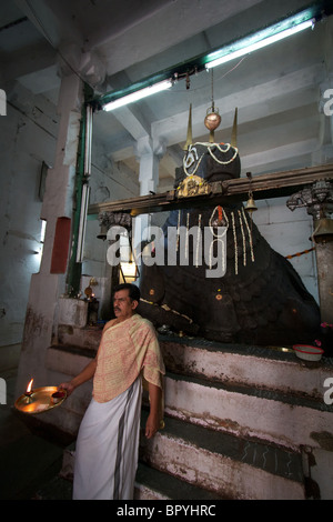 Le bull temple, Bangalore Banque D'Images