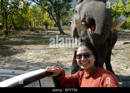 En tourisme un safari à Tiger dans Bandhavgarh, Sanctuaire de faune de l'Inde. Banque D'Images