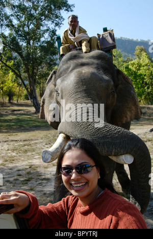 Tourist à Tiger dans Bandhavgarh, Sanctuaire de faune de l'Inde. Banque D'Images