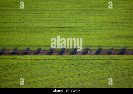 Photographie aérienne du champs de l'Agriculture de la Galilée Banque D'Images