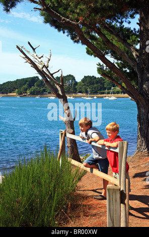 Les garçons à la vue à la mer de de la pointe de Toulindac, Ile aux Moines, Golfe du Morbihan, Bretagne, Bretagne, France Banque D'Images