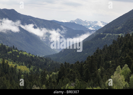 L'augmentation des brouillards et nuages bas tourbillonner autour de forêt subalpine et les montagnes du Parc National de Sant Maurici Pyrénées Espagne Banque D'Images