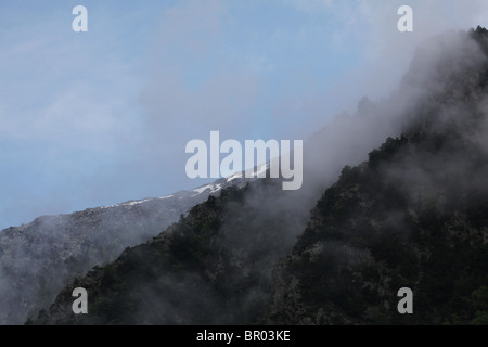 L'augmentation des brouillards et nuages bas tourbillonner autour de haute montagne forêt et montagnes du Parc National de Sant Maurici Pyrénées Espagne Banque D'Images