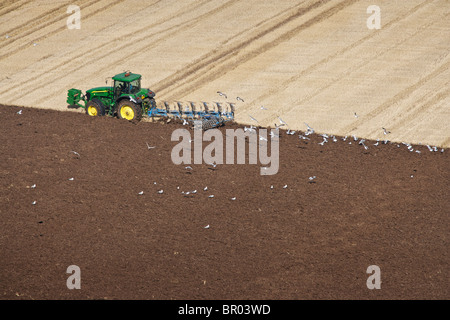 Le tracteur laboure un champ de chaumes Banque D'Images