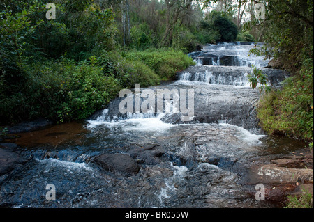 Williams falls, plateau de Zomba, Malawi Banque D'Images