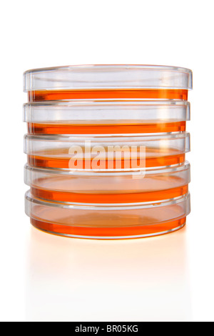 Pile de boîtes de Pétri isolé sur fond blanc Banque D'Images