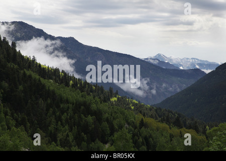 L'augmentation des brouillards et nuages bas tourbillonner autour de forêt subalpine et les montagnes du Parc National de Sant Maurici Pyrénées Espagne Banque D'Images