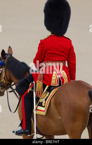 Le capitaine de la garde de grenadiers à cheval, Parade du 'Couleur' 2010 Banque D'Images