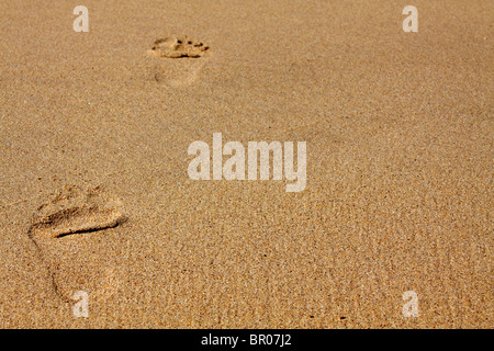 Des empreintes de pas dans le sable, Stocker, Strand, comté de Donegal, Irlande Banque D'Images