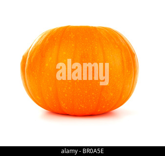 Citrouille fraîche isolated on white Banque D'Images